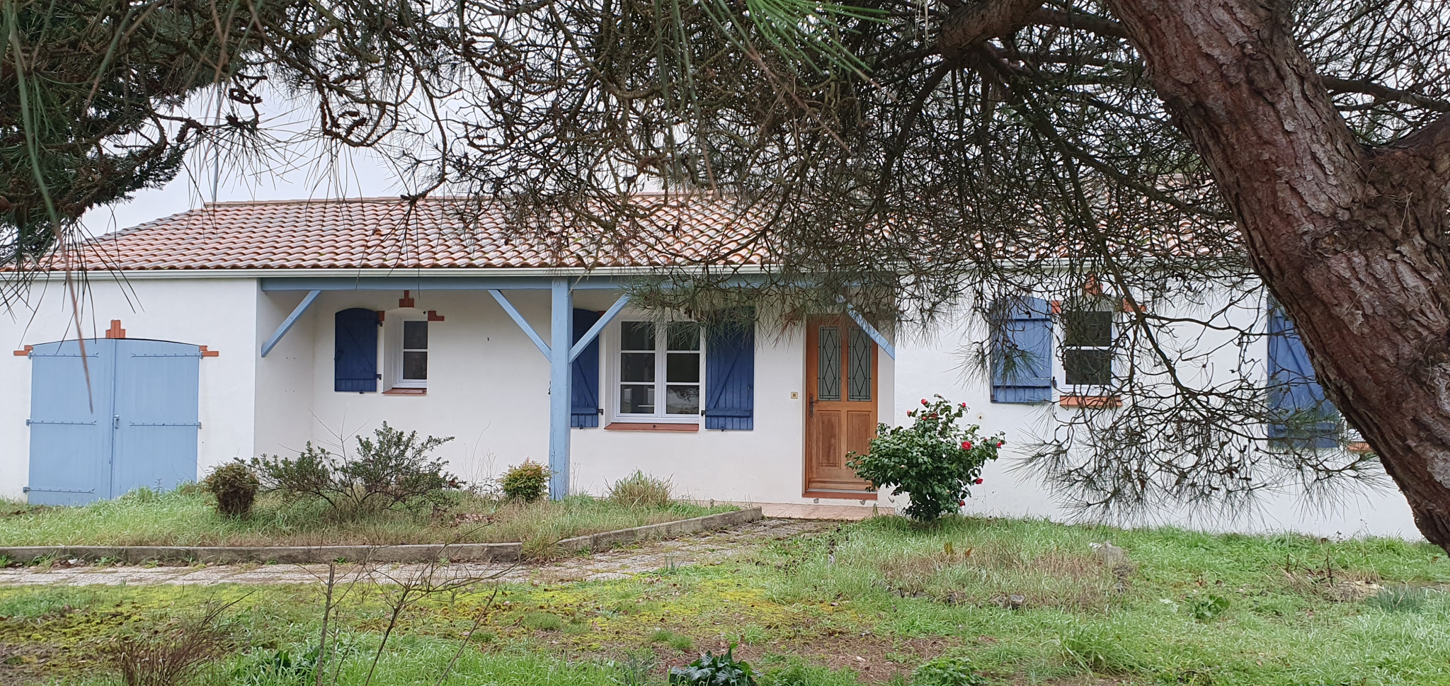 Photo 1
